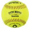 BowNet 14" Softball Spin Trainer